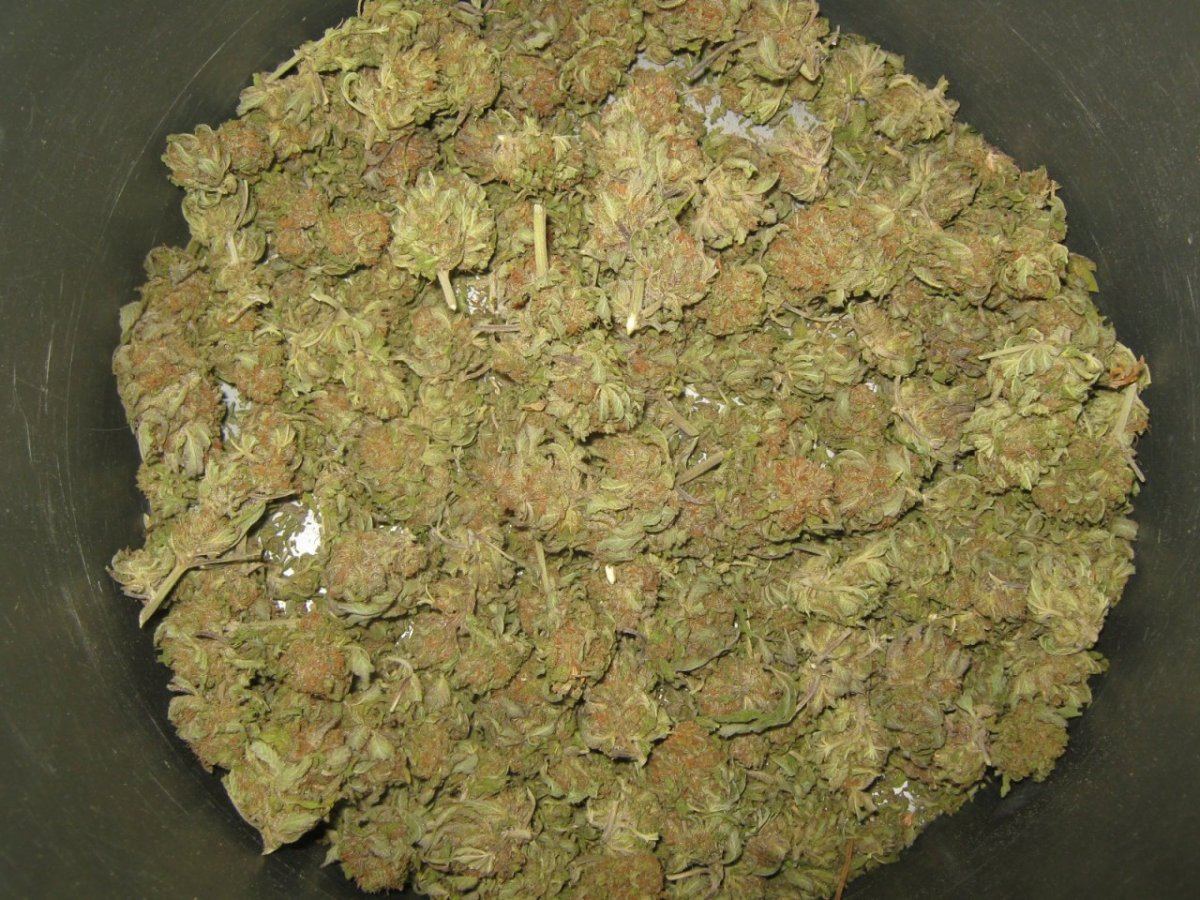 Bubbakushinbucket