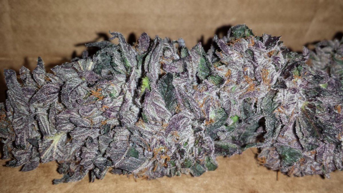 BUBBAMANIAC 20140317 033819