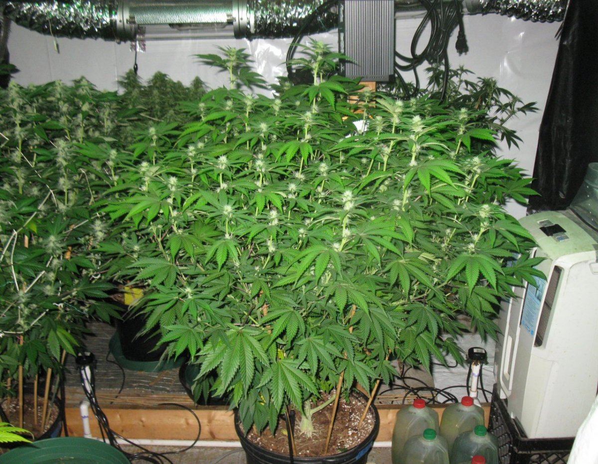 Bubbas bitch 1 095