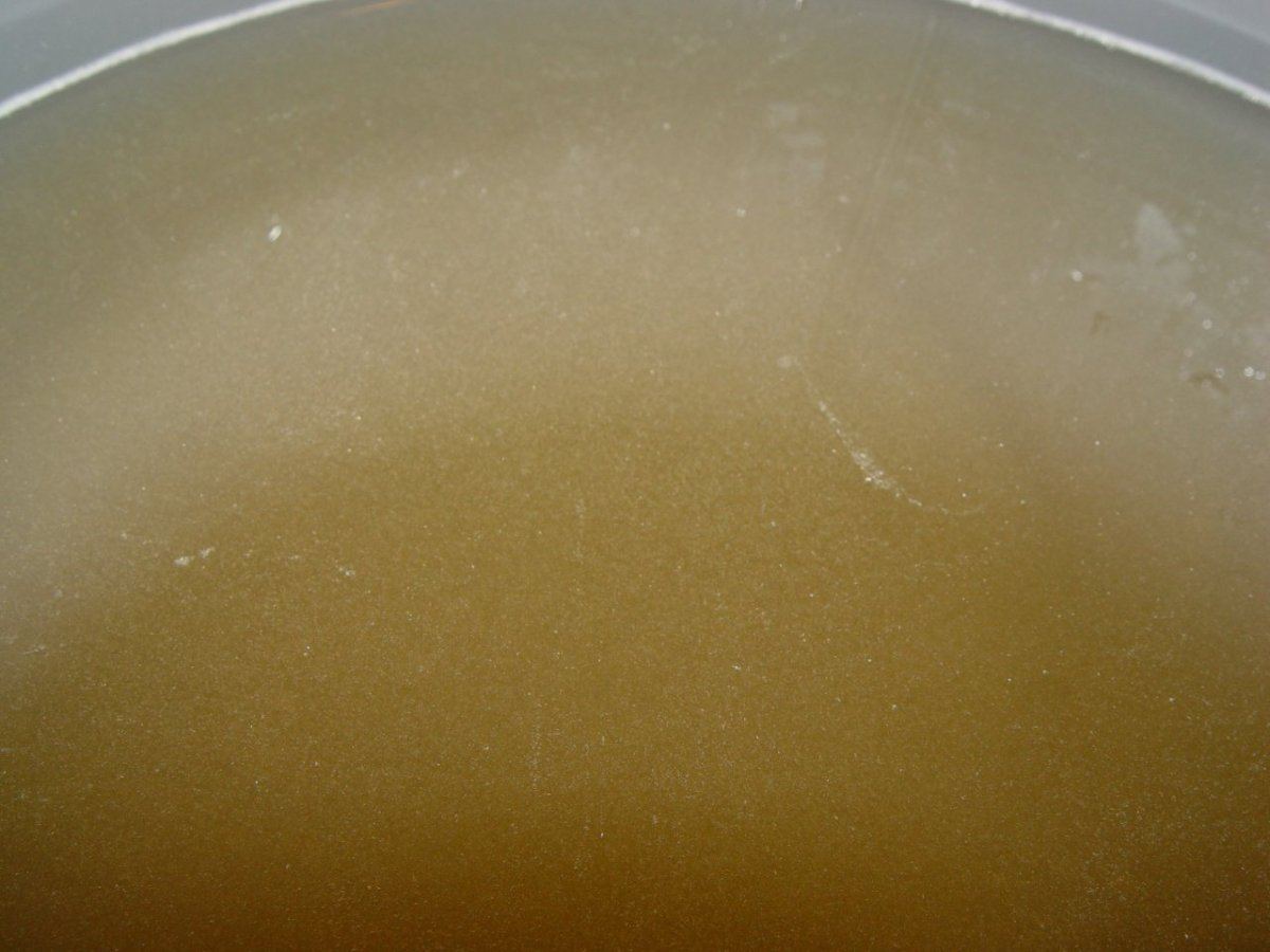 Bubble  8