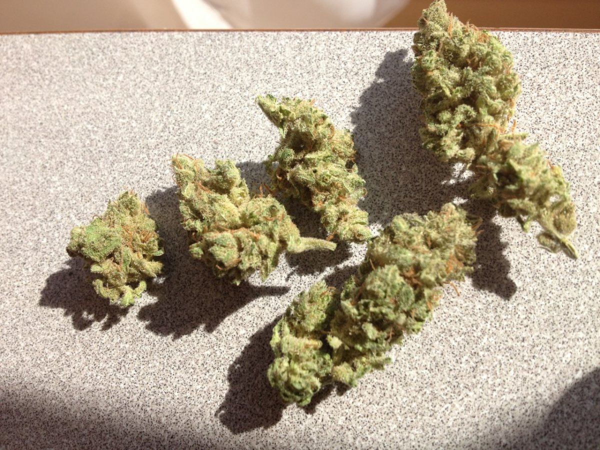 Bubblegum