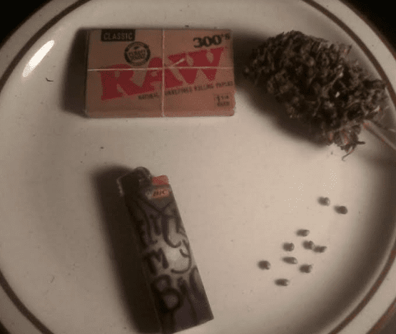 BubblegumxspacecandyhitSKxC998117
