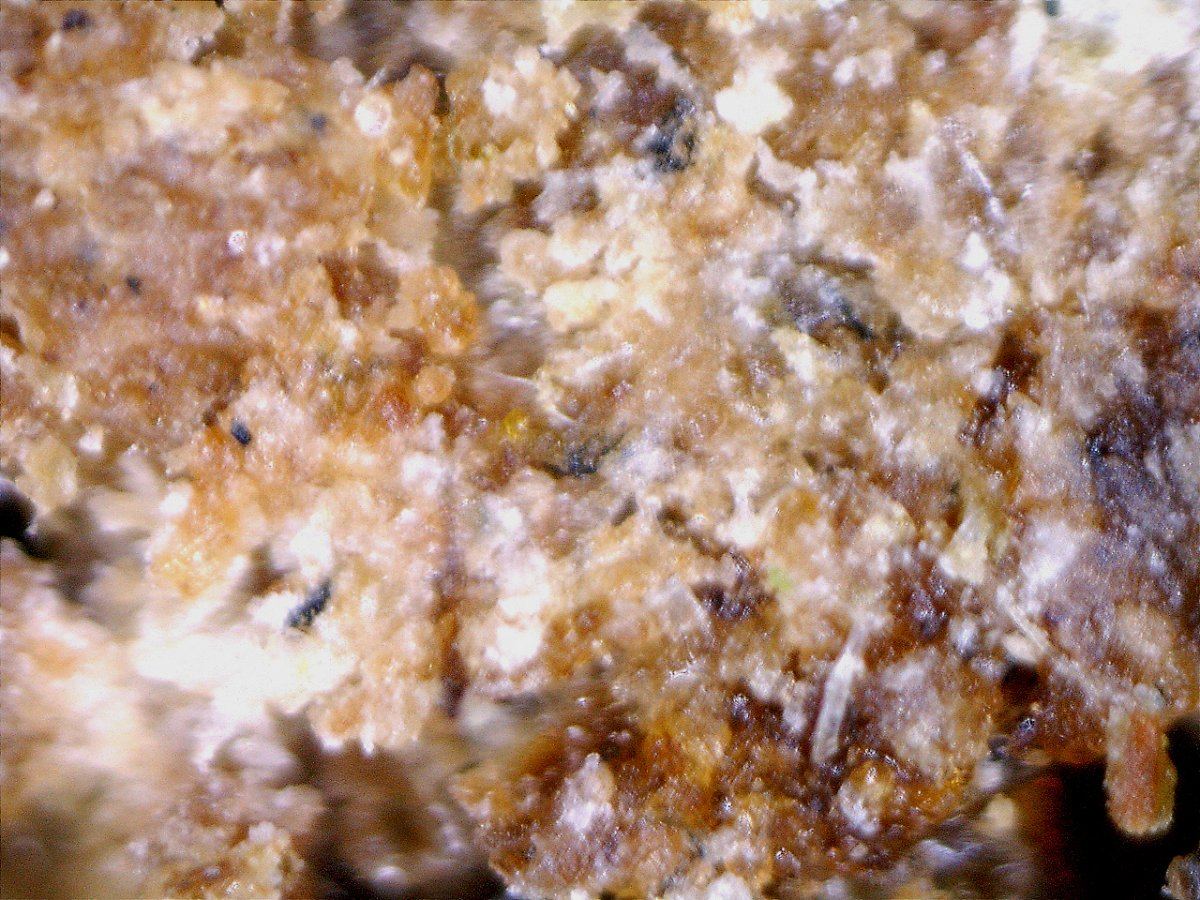 Bubblehashmacro200x