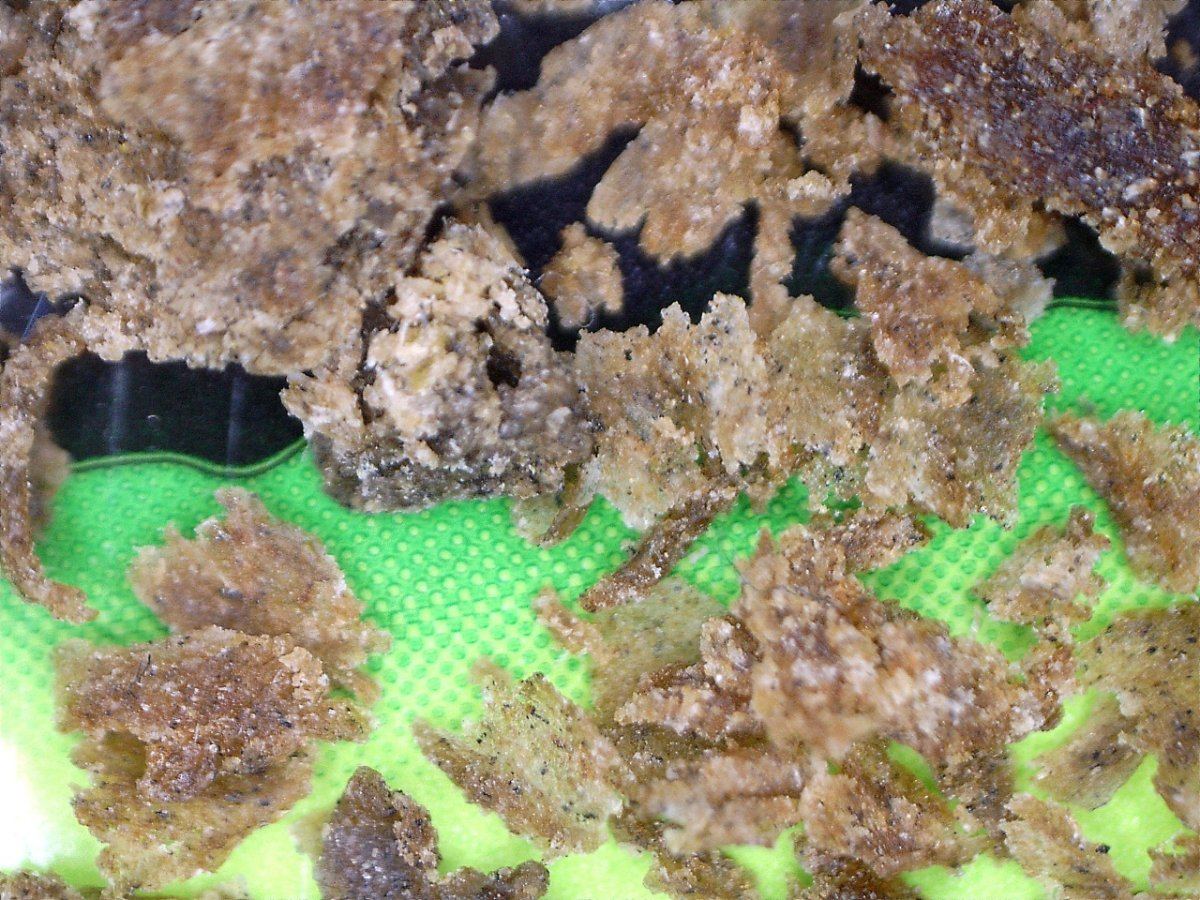 Bubblehashmacro4 200x
