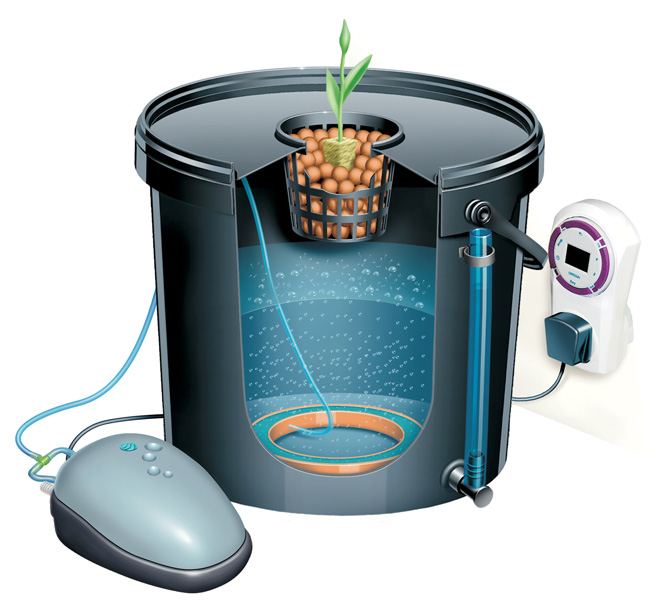 Bubbler dwc system 1