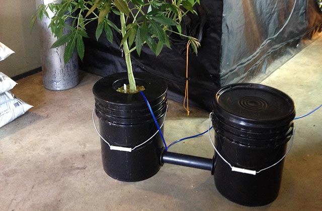 BucketsHED