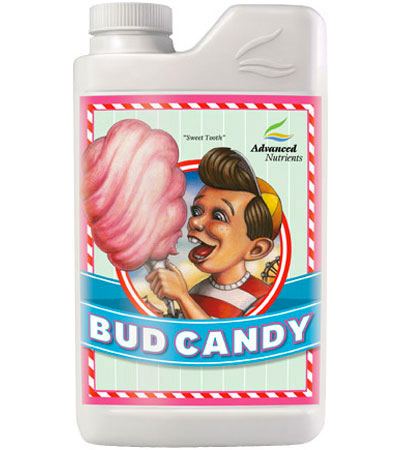 Bud candy