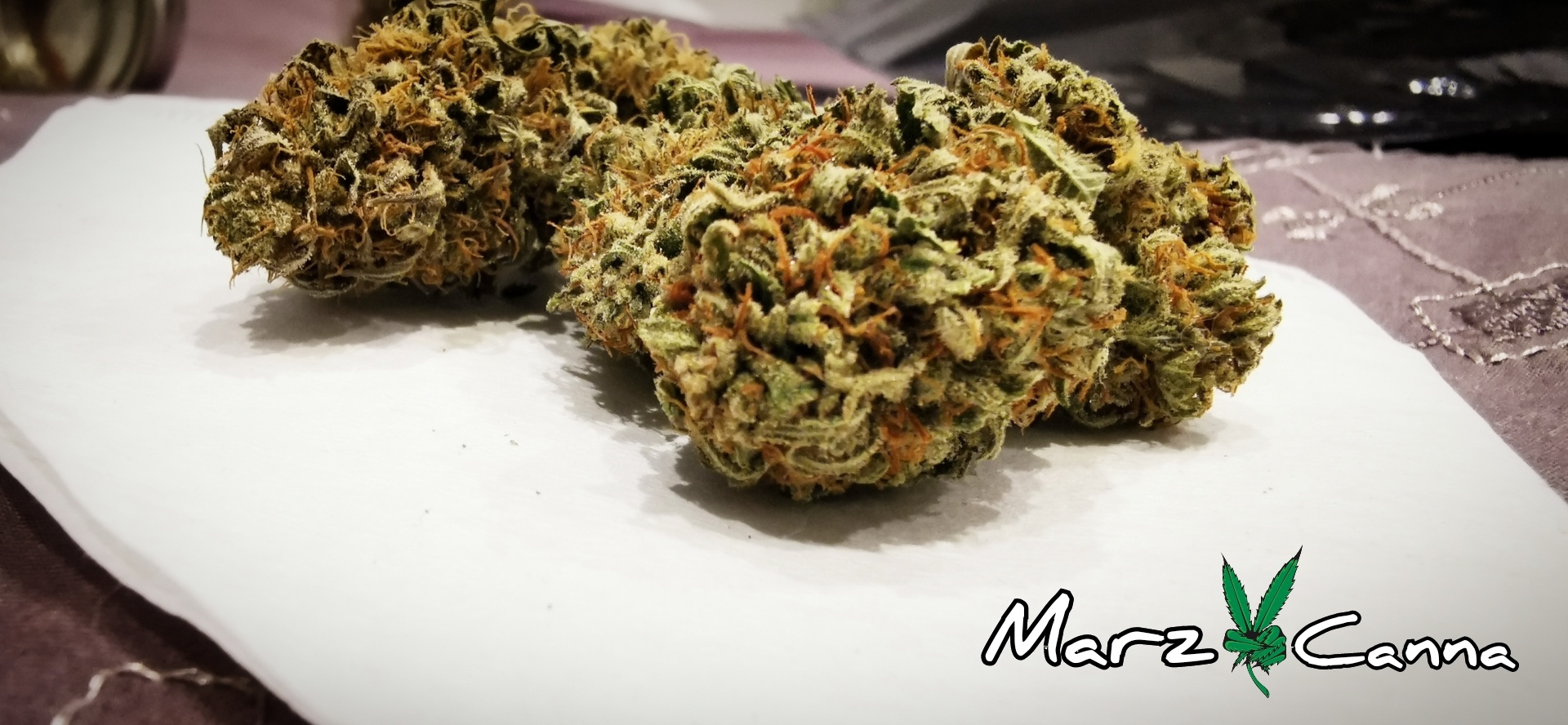 Bud