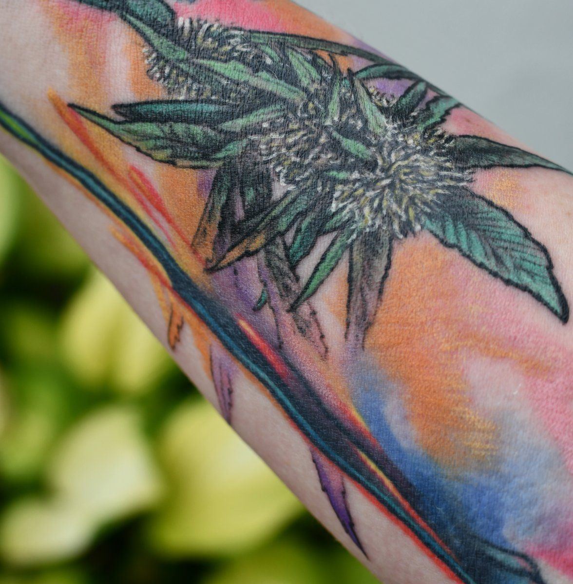 Bud