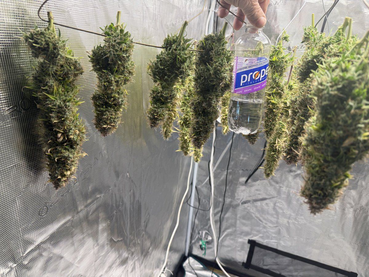 BudBottle2