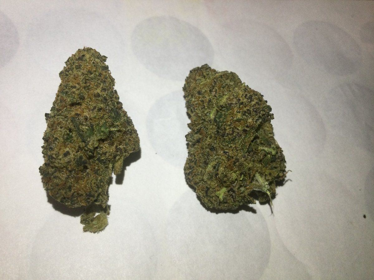 Buds that look like this 2