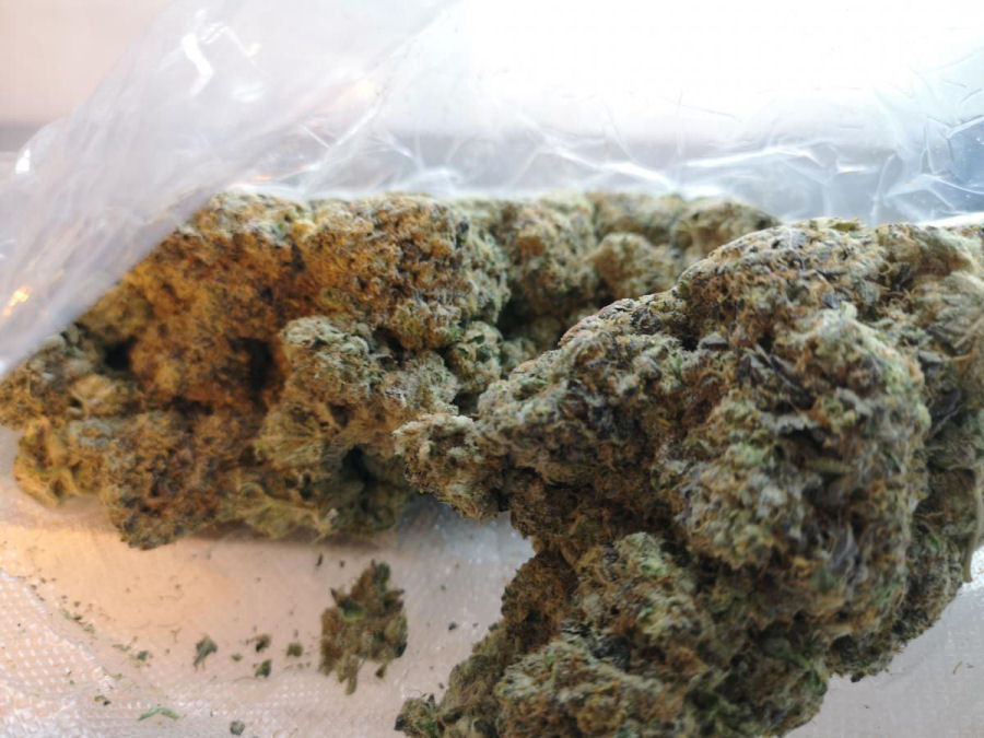 Buds1