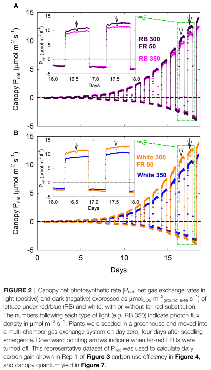 Bugbee FR increased photosynthesis