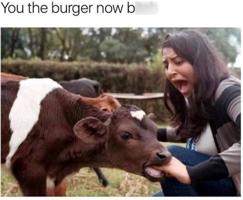 Burger now b
