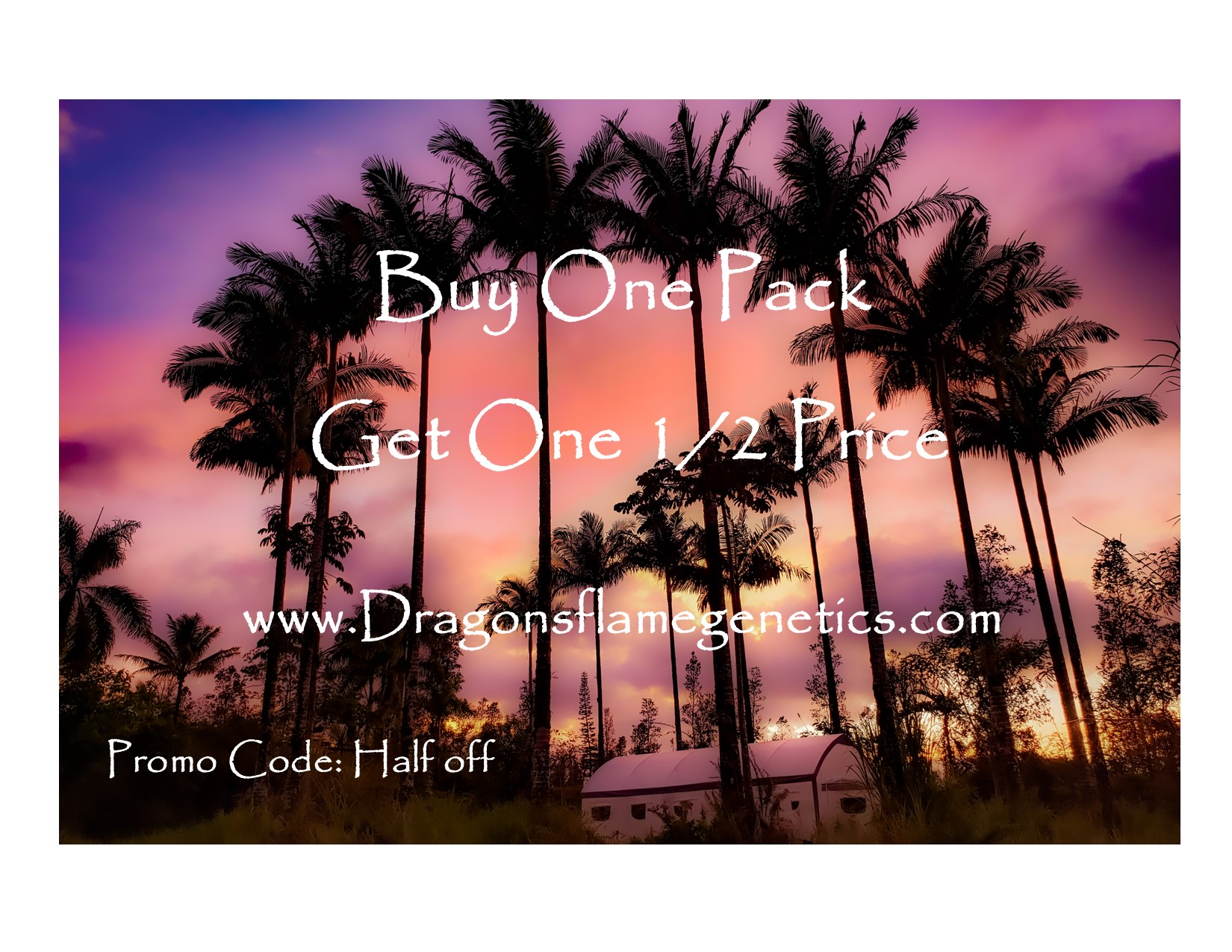 Buy one get one half off