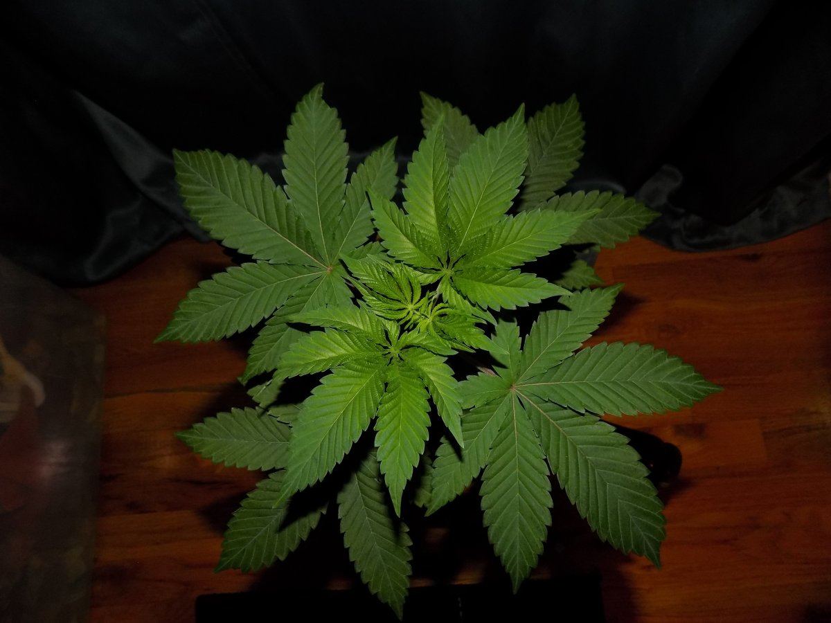 C 2 3