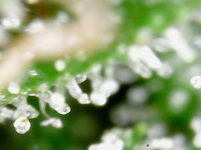 C030FB67 0D00 4889 8CB6 23BEE7287D7F