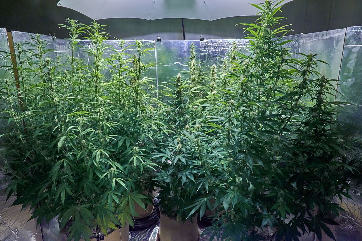 C1 The Girls 9 Mar Day 60