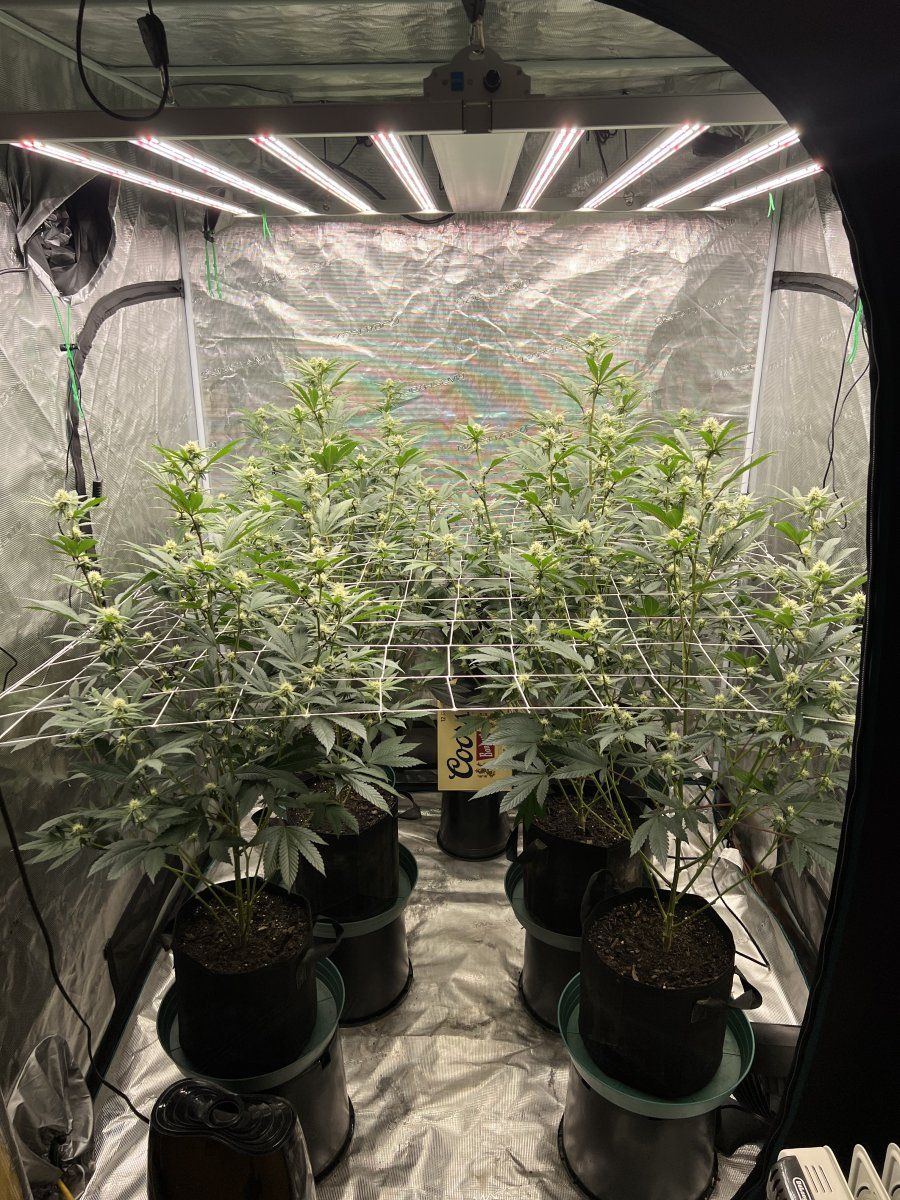 C10D7A8B E8E8 4DE9 BB5A BE905789A6F8
