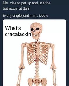 C2741e63b19c0823635c32c8b70eea55