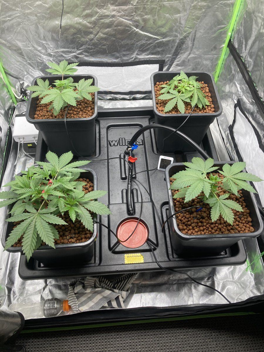 C2FAEF4C E9E8 415D 99BE 056FC664980F