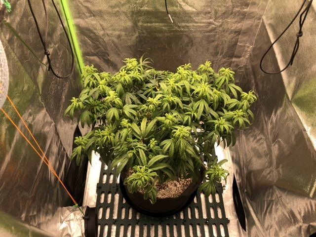 C6E90CBD F836 42FA B276 AB7A2E5407B2