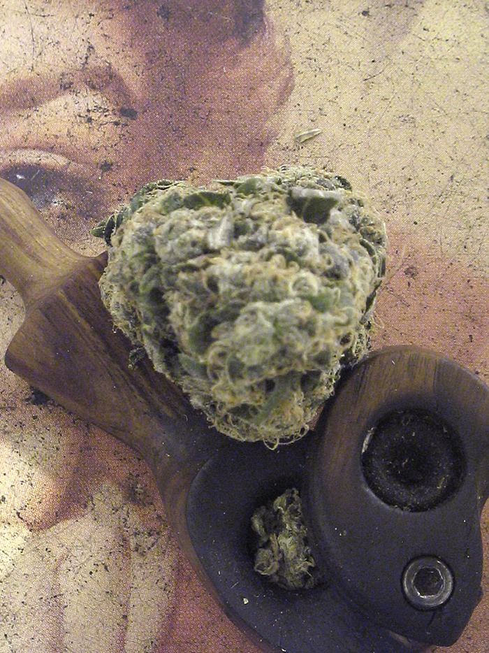 C88 cu budshape