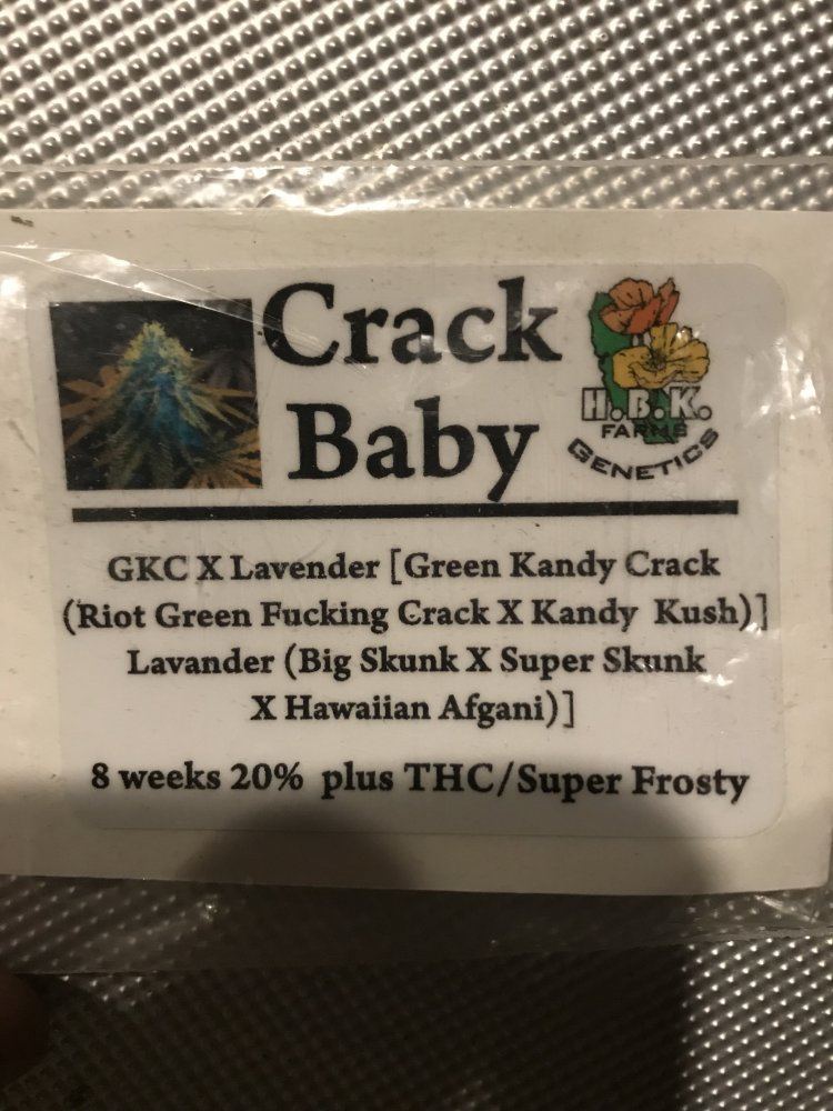 C975DCFD 6468 4099 94EB C428A02348BE
