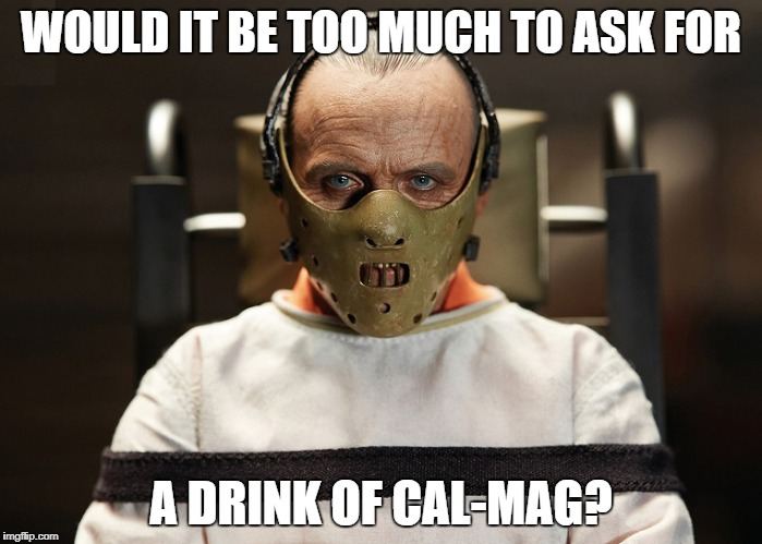 Cal Mag Hannibal