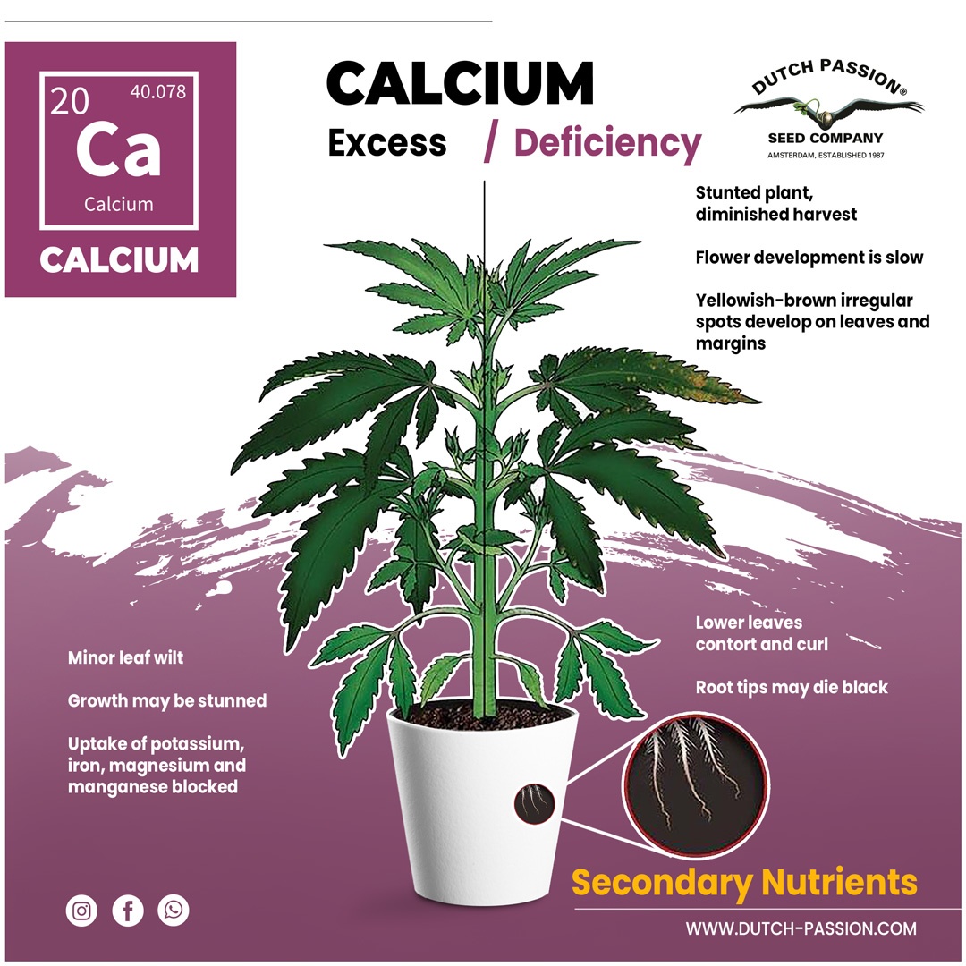 Calcium
