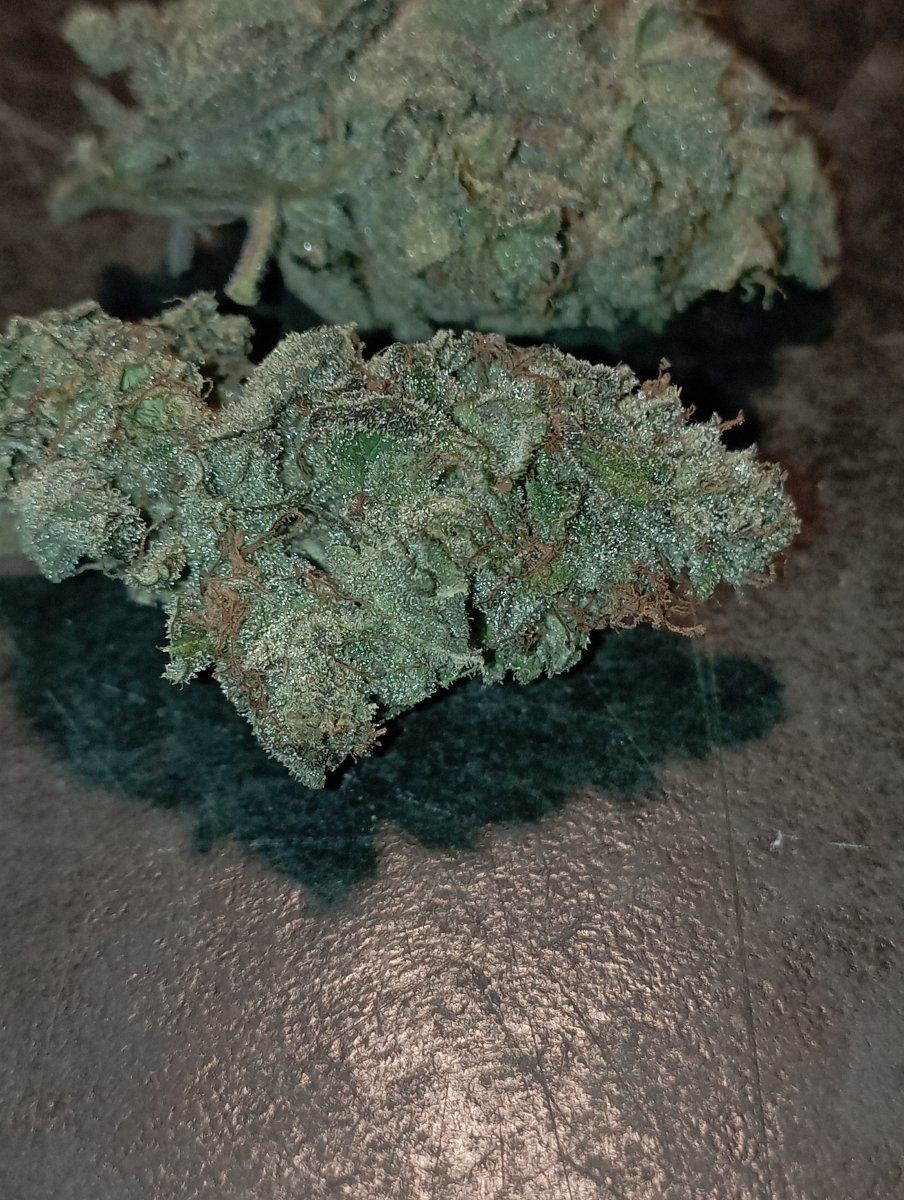 Caliblue