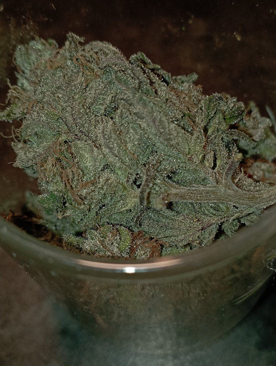 Calibluejc