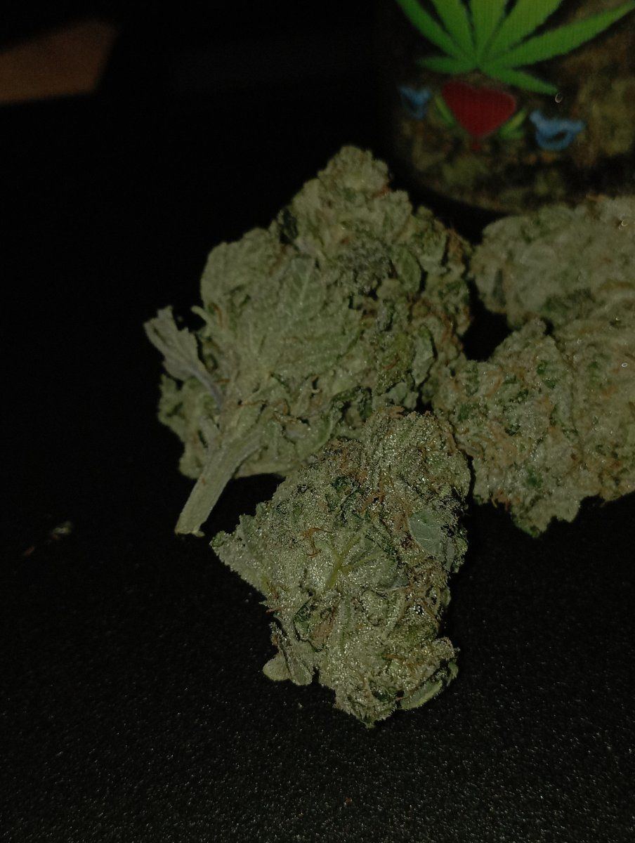 Calibluenfrostette