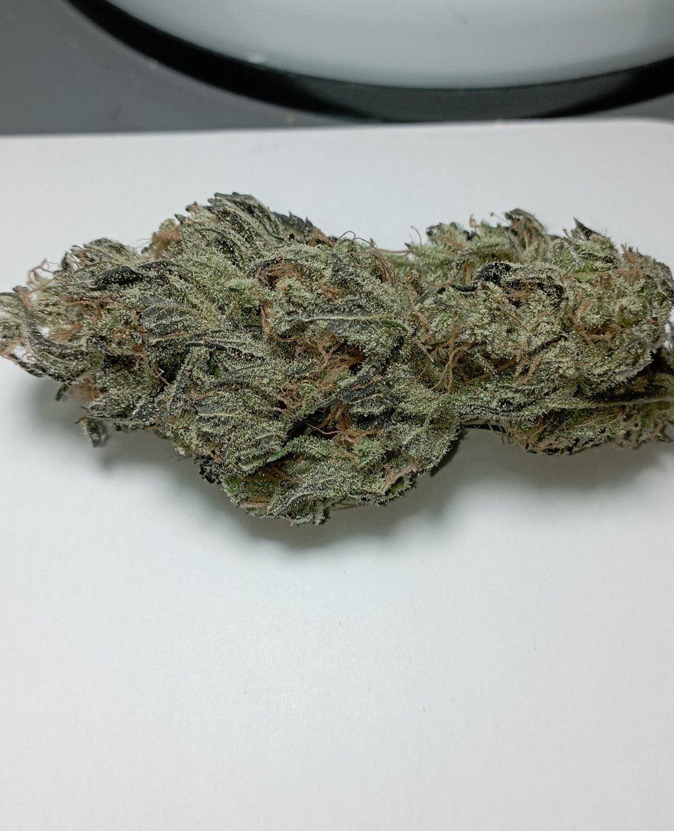 Caliblues1