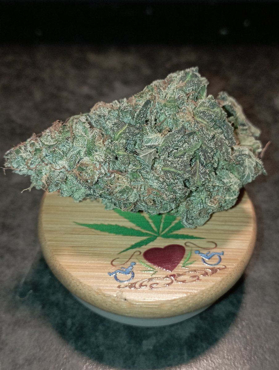 Calibluesbud