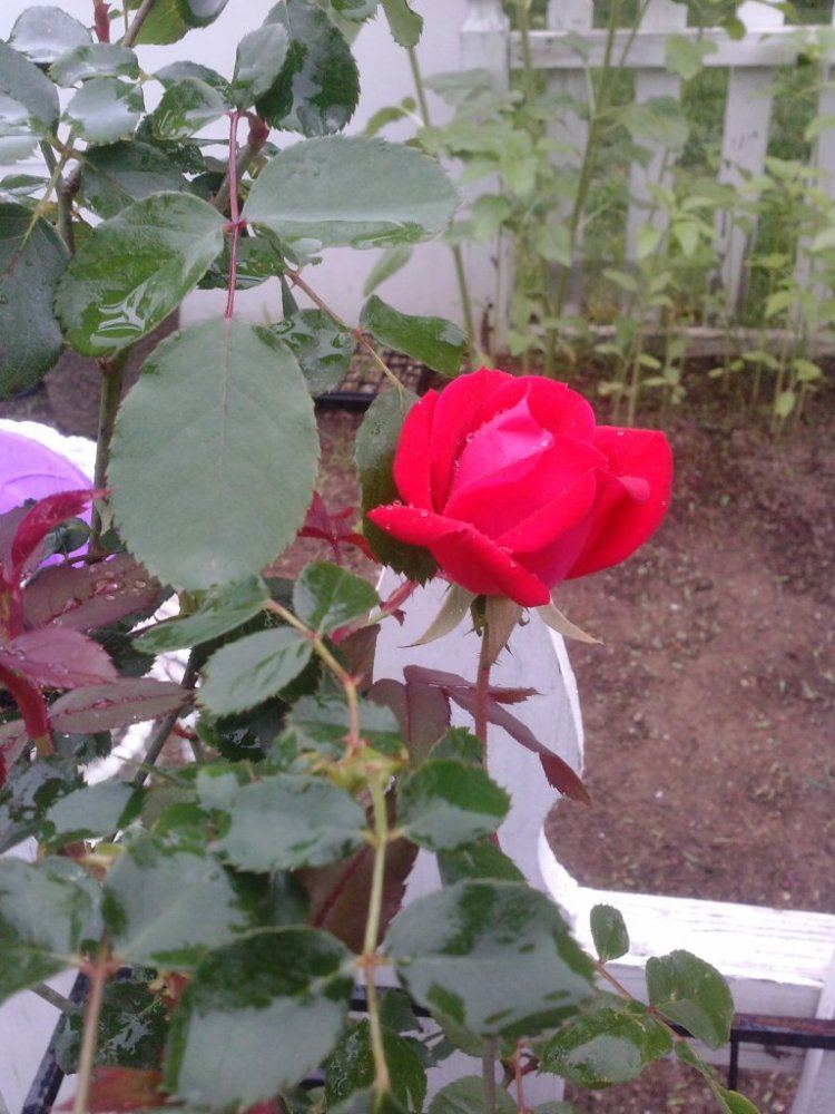 CAM00974