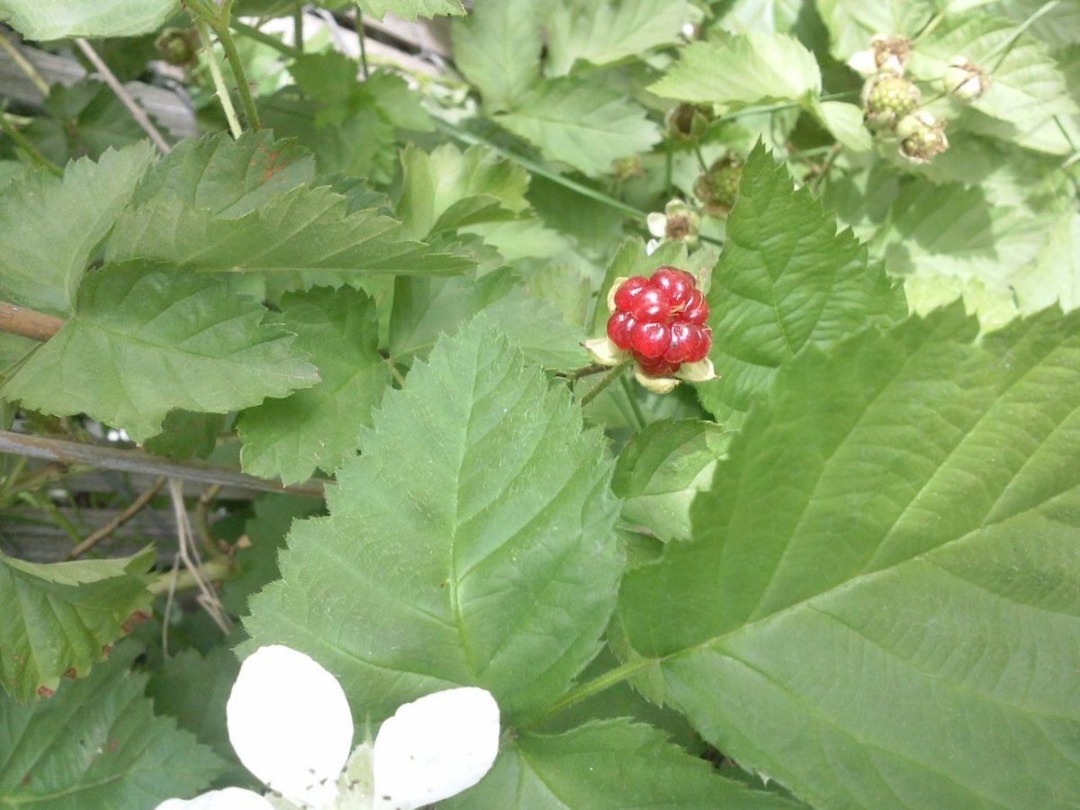 CAM01014