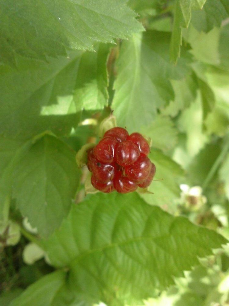 CAM01015