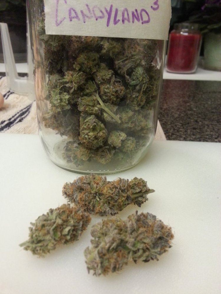 Candyland 2