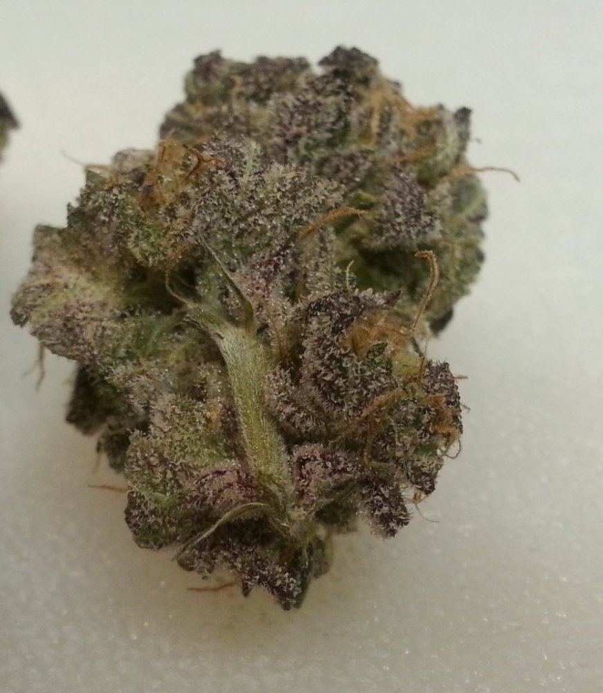 Candyland 3