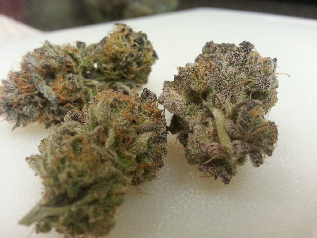 Candyland 4