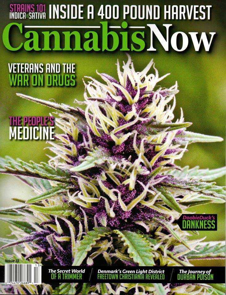 Canna now cover CW