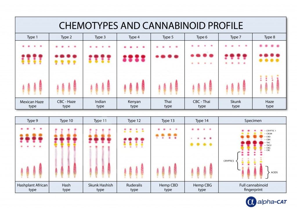 Cannabinoides 1
