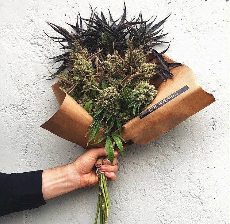Cannabis Bouquet