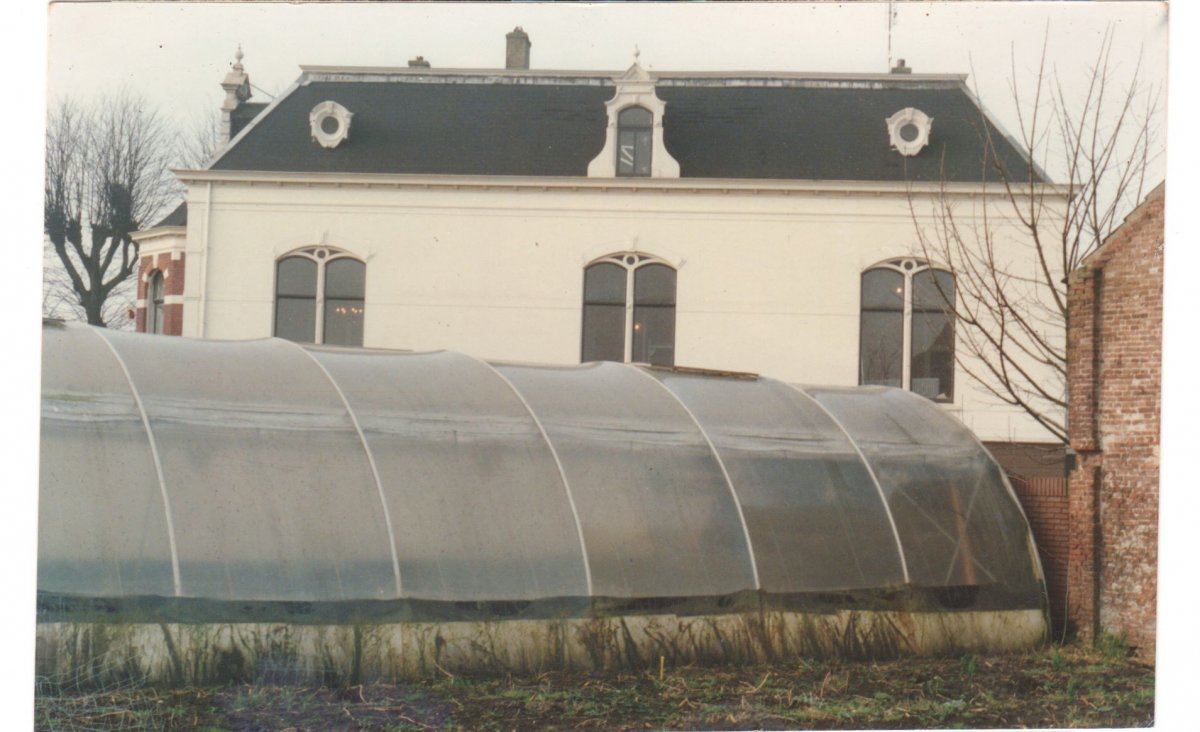 Cannabis Castle