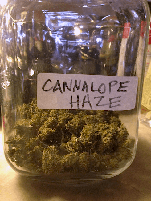 Cannahazeijar