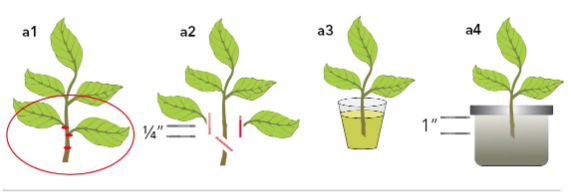 Capture cuttings