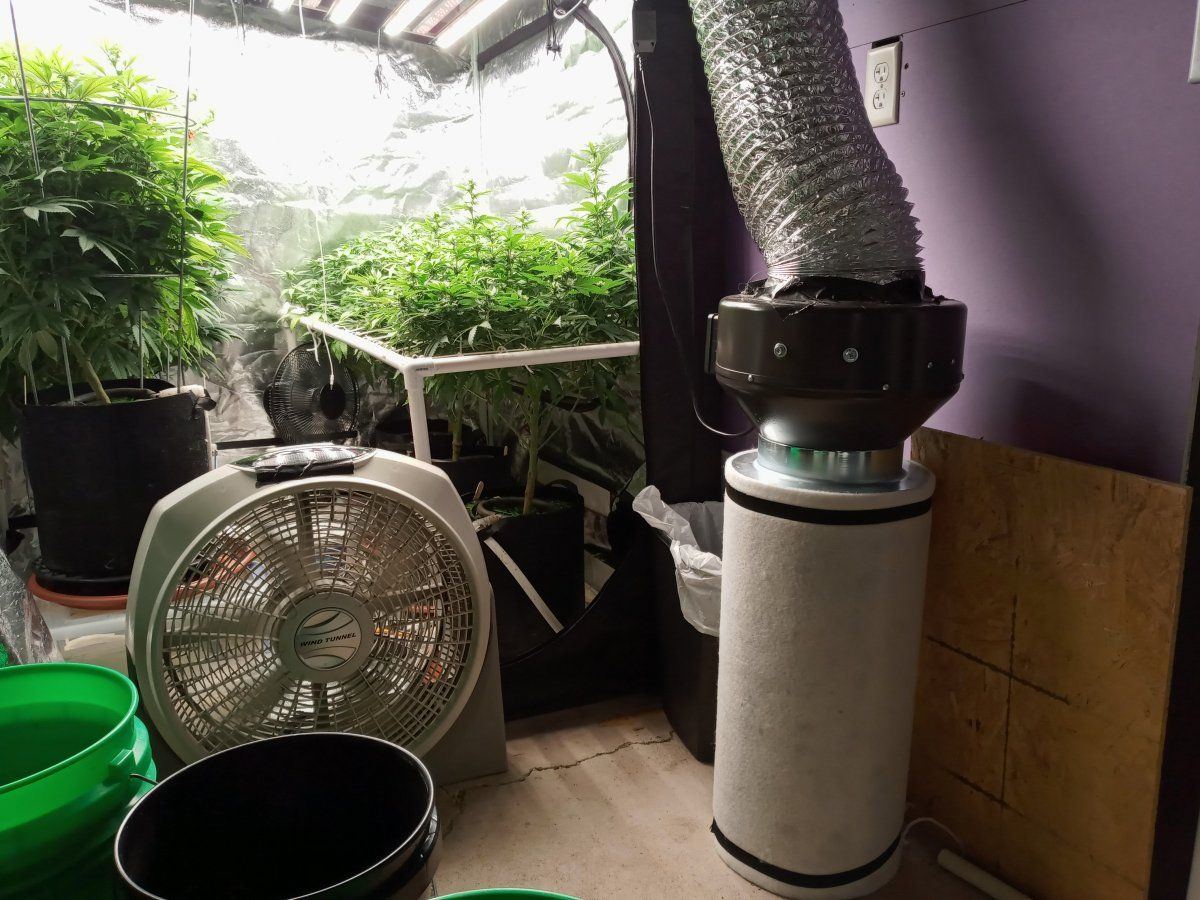 Carbon Filter Placement
