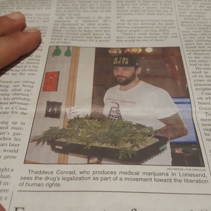 Carillionpage2