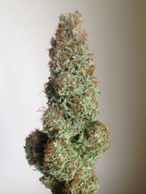 Cascadian